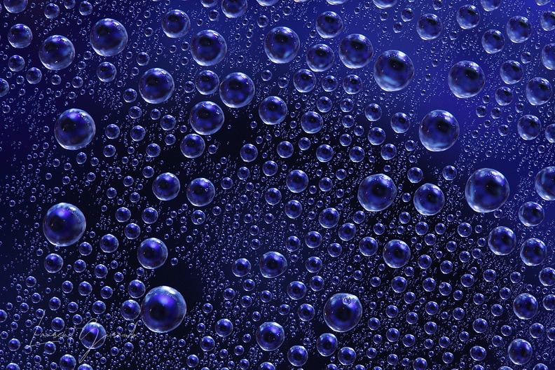 20220828184752-3c70379f.jpg